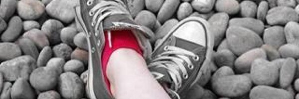 brontefitz Profile Banner