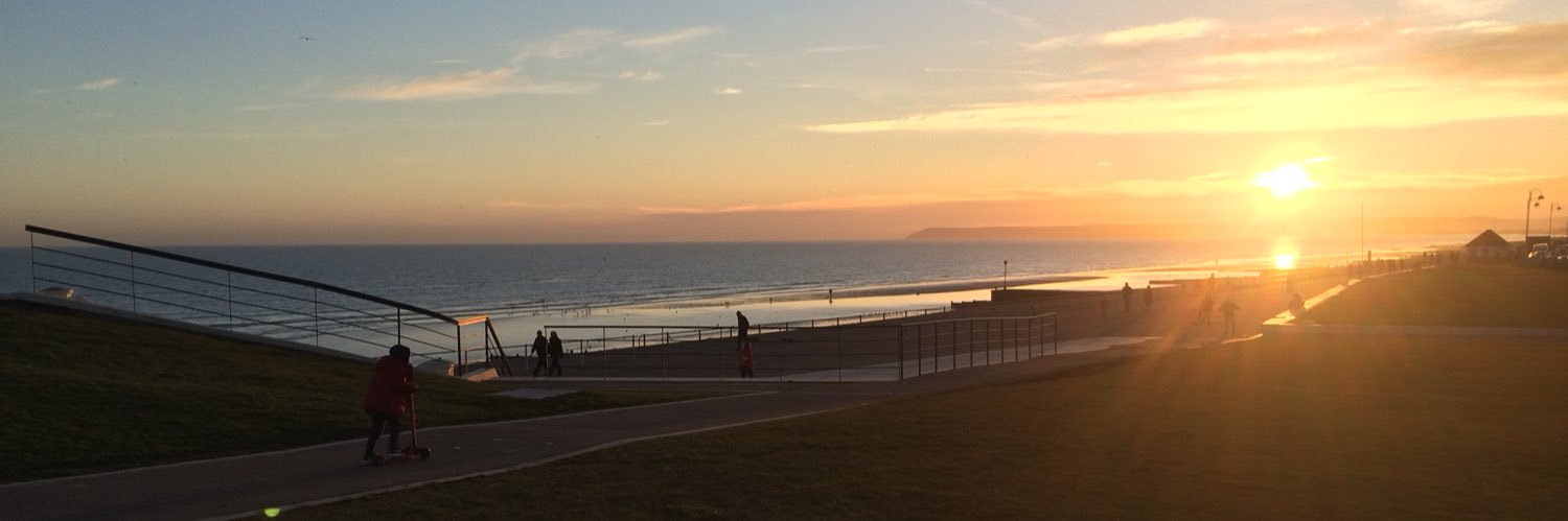 Neil hamilton Rowe banner