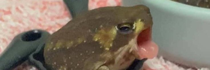 sludgesage's profile banner image