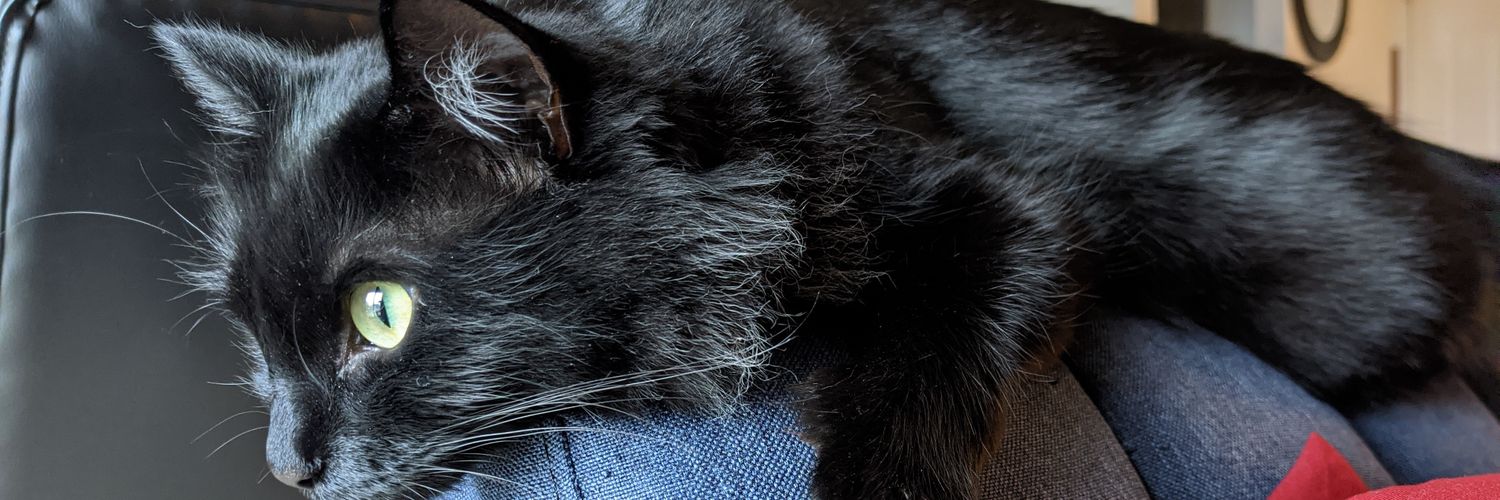 DElliotWilson's profile banner image