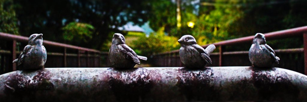 fujipicture's profile banner image
