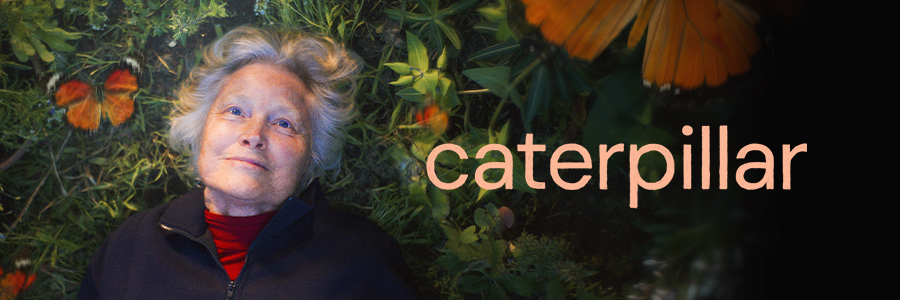 Madman Films NZ banner