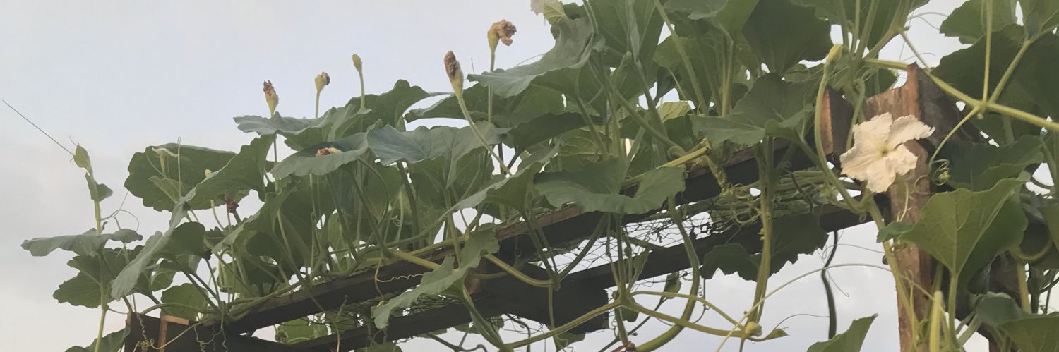 JustinReiter1's profile banner image
