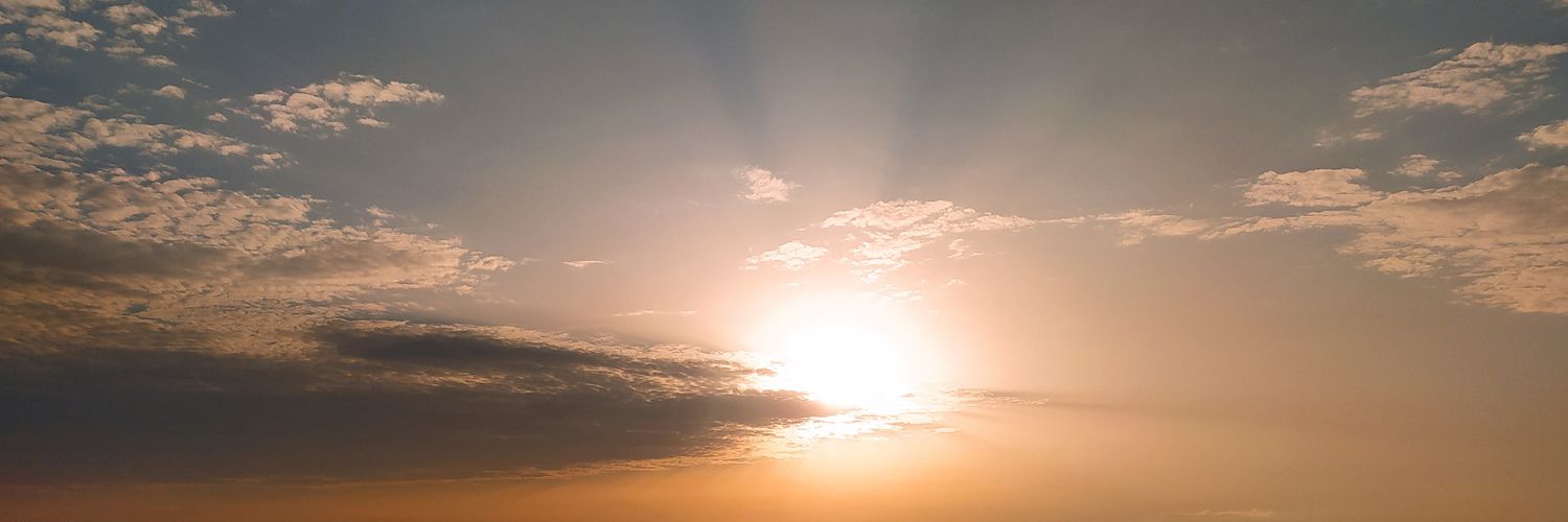 Silví Pascual 🎗️ banner