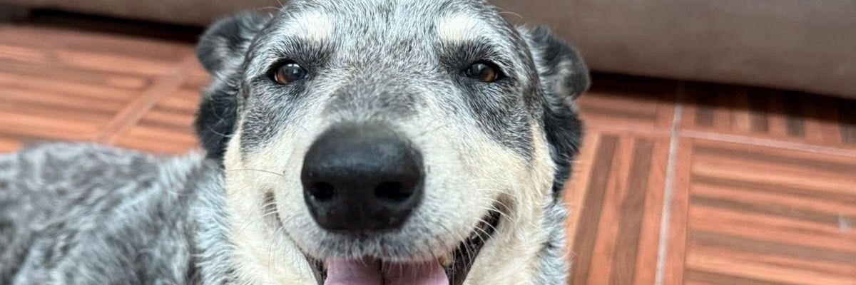 _kareel_'s profile banner image