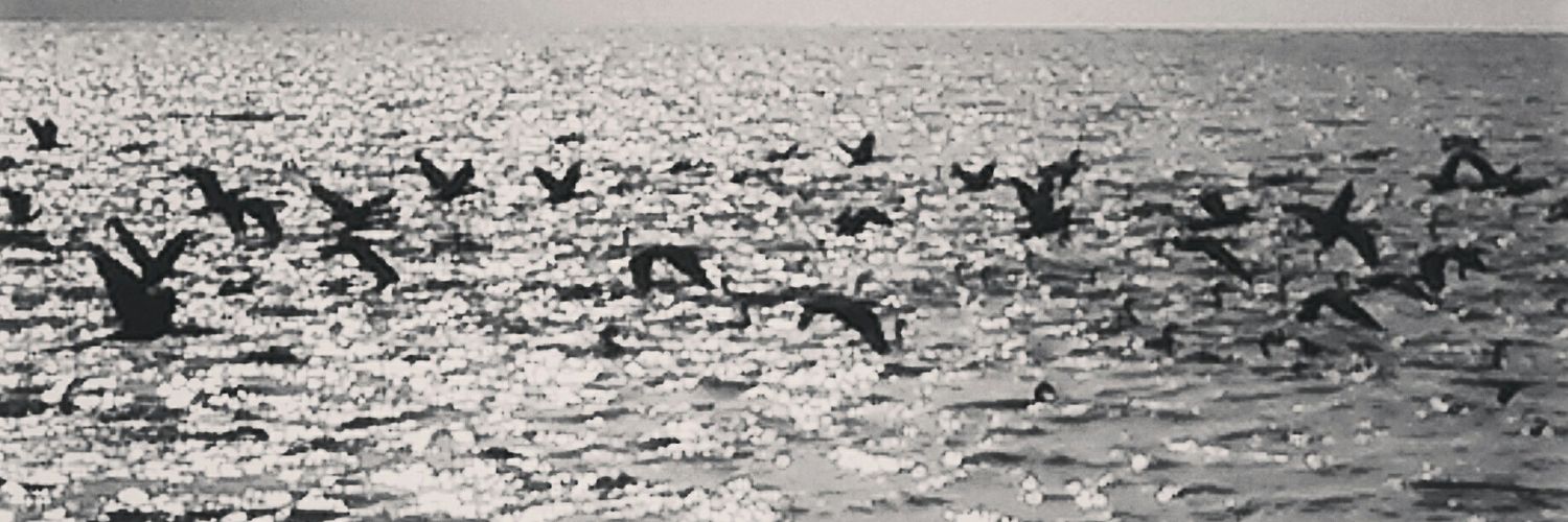 onnumerocan's profile banner image