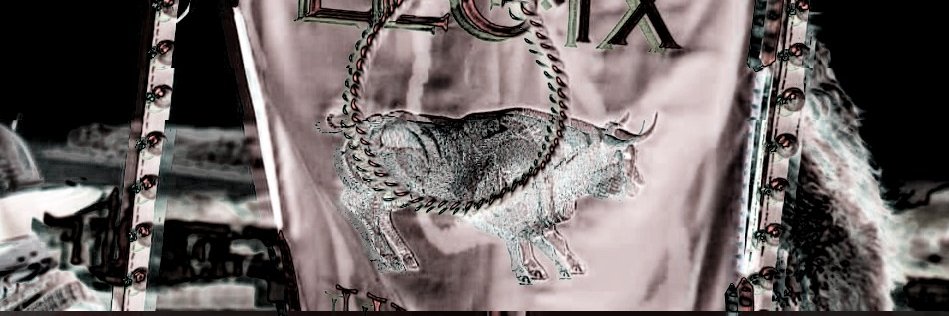 HS01 banner
