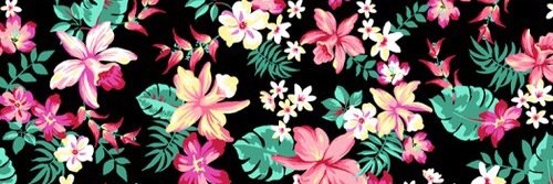 samanthac97's profile banner image
