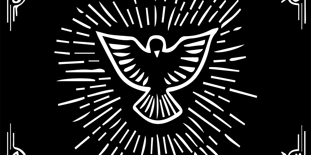 dwpoyner's profile banner image