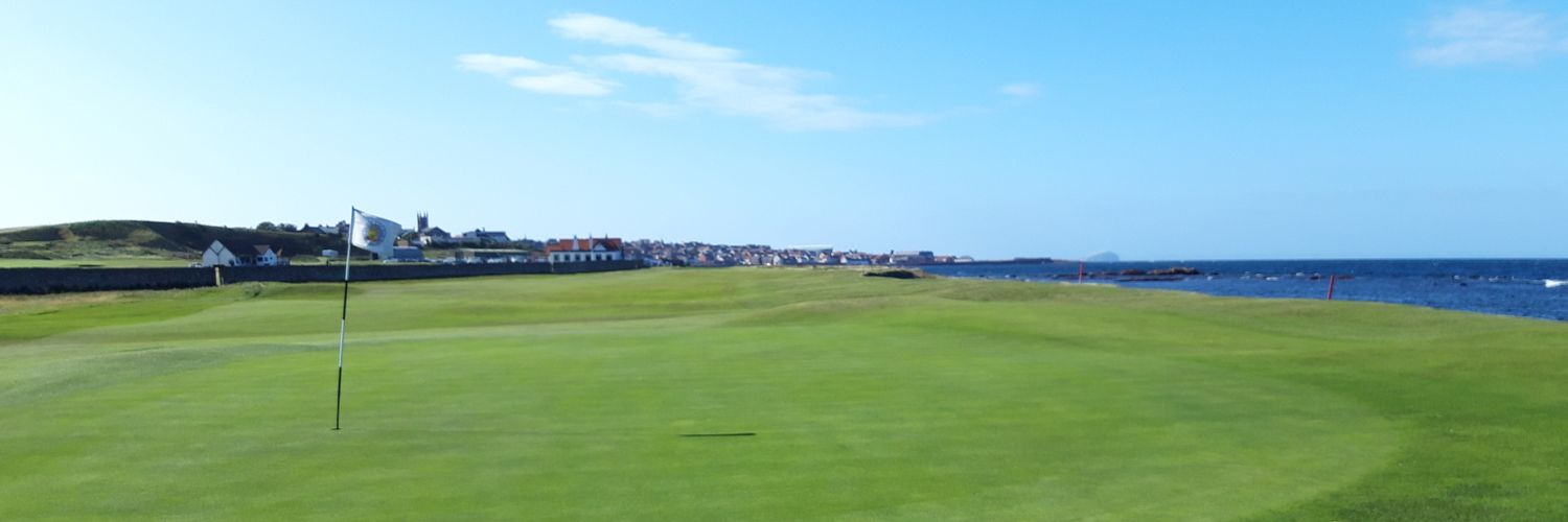 Herman Öberg banner