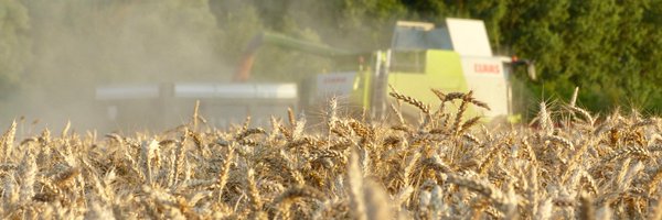 AAPicarde Profile Banner