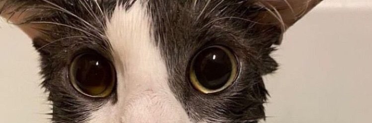 TheCourageJ's profile banner image