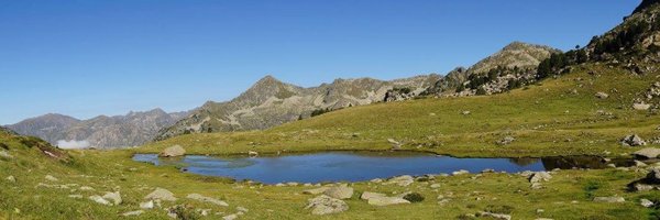 olivierfaure Profile Banner