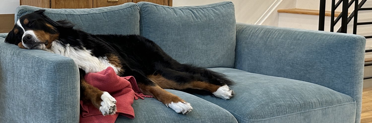 Lindsey Barrett banner