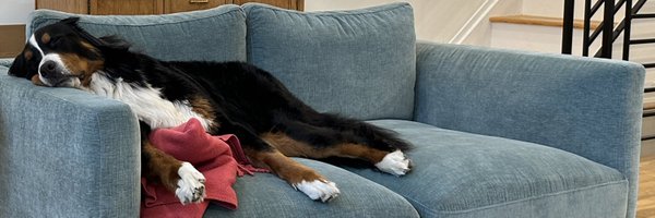 LAM_Barrett Profile Banner