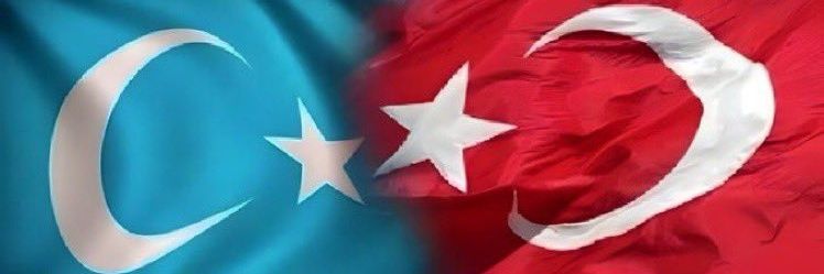 ademyildiztc's profile banner image