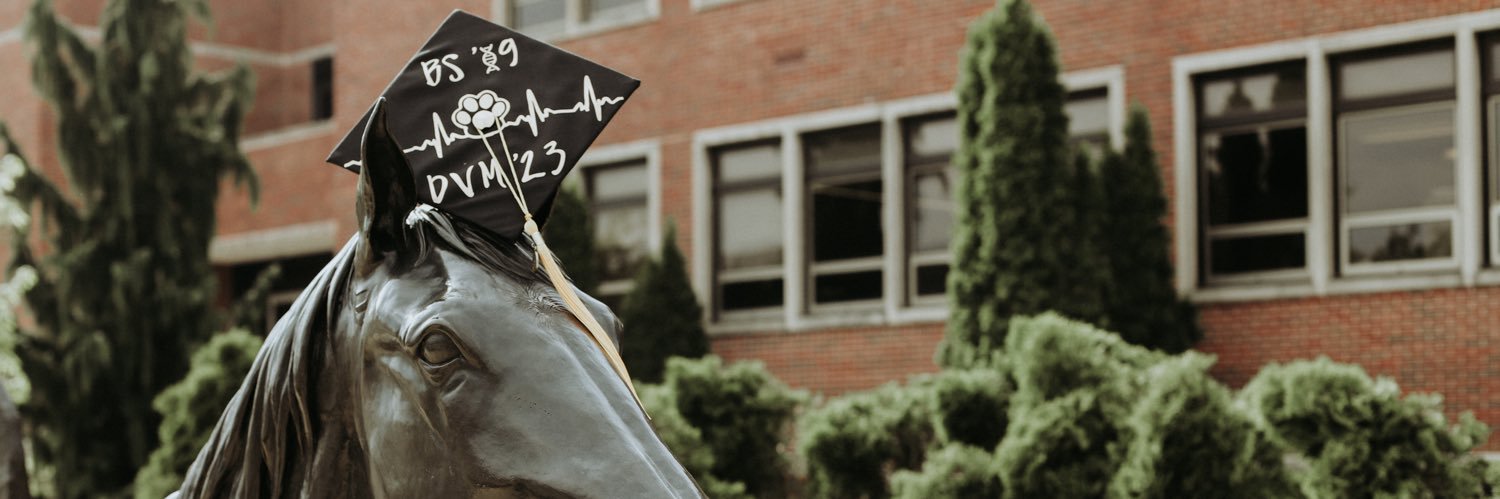 epstewart97's profile banner image