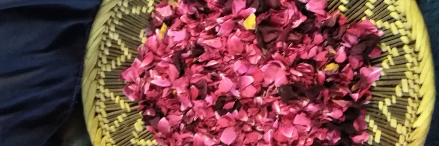 Nabutala's profile banner image