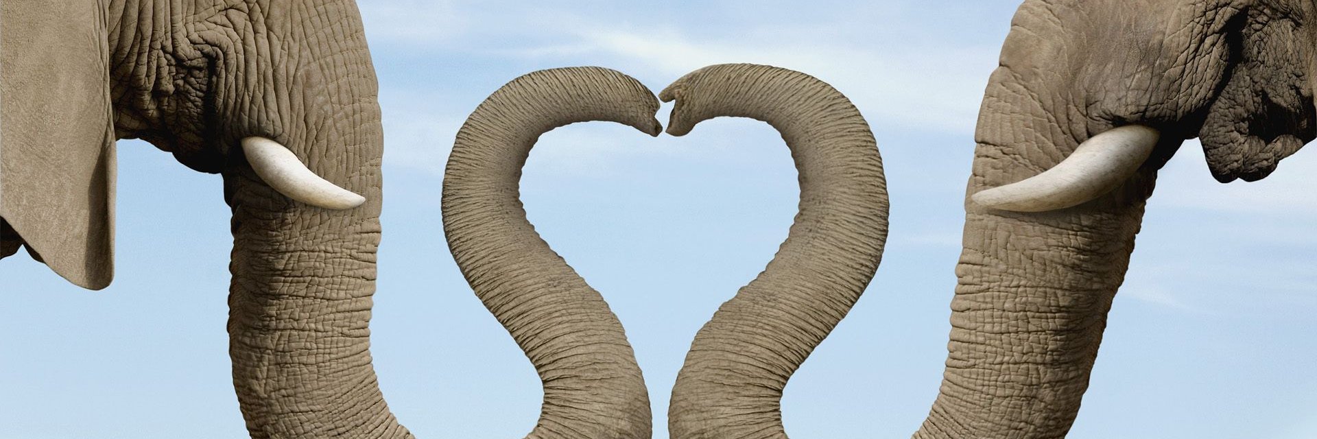 Sundra Latson banner