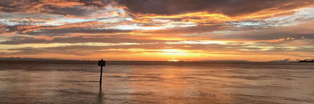 PattonRotaLab banner