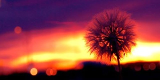 ma_892's profile banner image