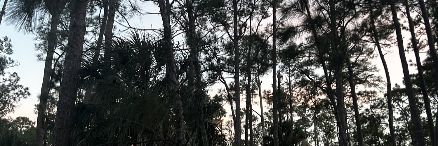 jasmine🌙 banner