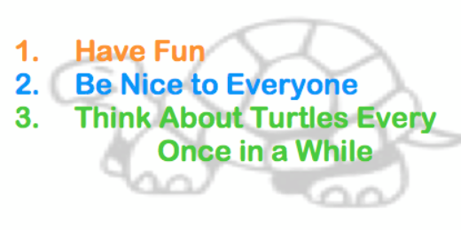 TurtleClubHQ's profile banner image