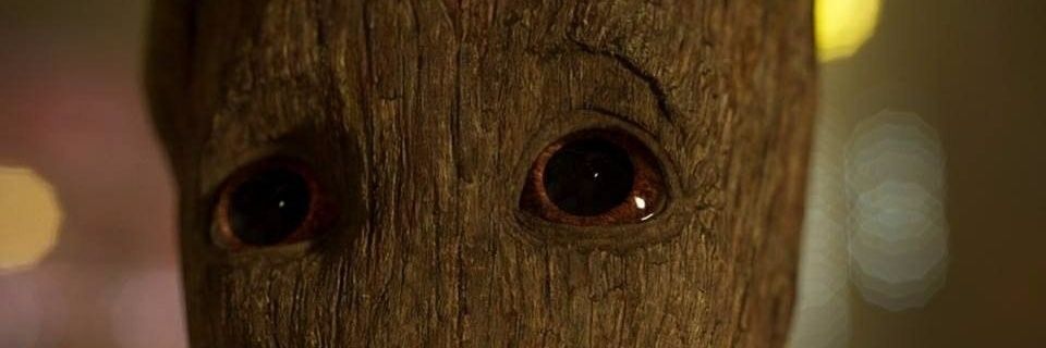 MeNBarselon's profile banner image