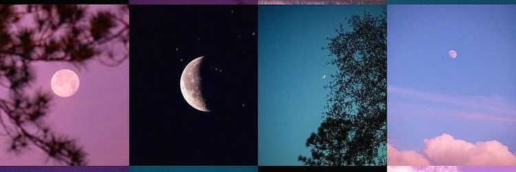 brenndxa's profile banner image
