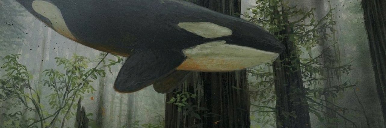 EntityOfTheNite's profile banner image
