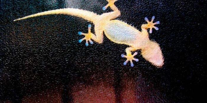 felipelzz's profile banner image