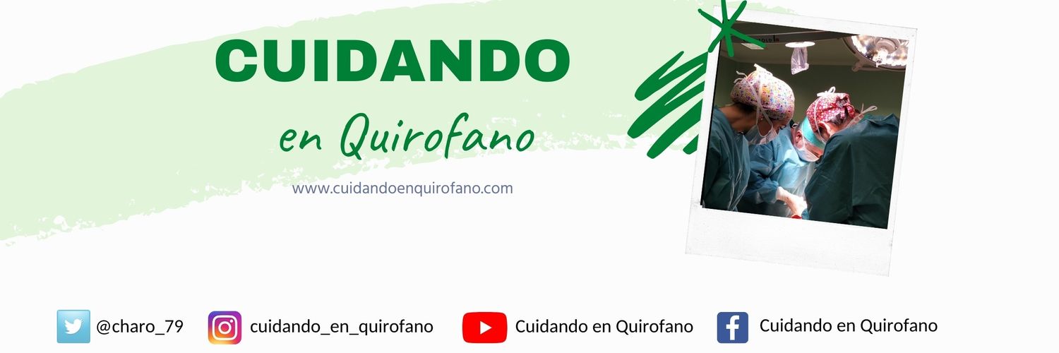 Charo Merino banner
