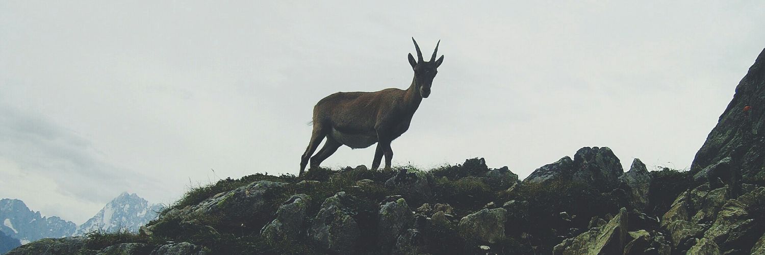 LilyJimenez85's profile banner image