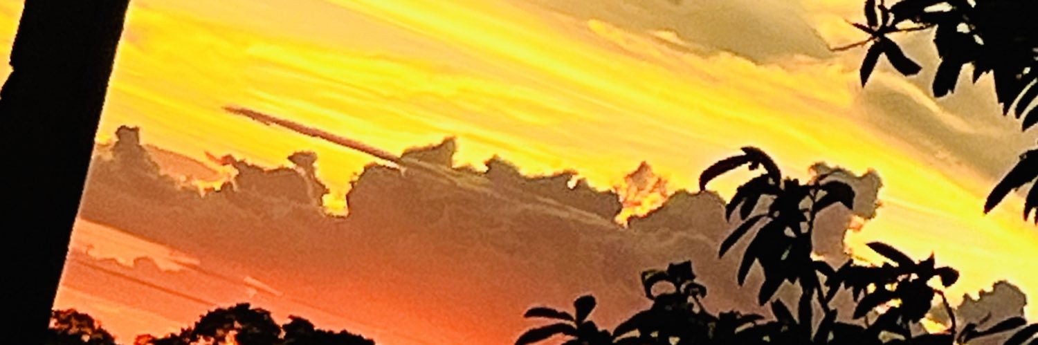 luceliadutra's profile banner image