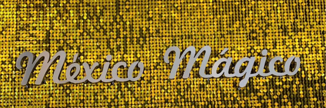 olguinap's profile banner image