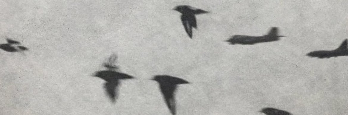 margott2000's profile banner image