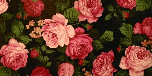nancyAR2's profile banner image