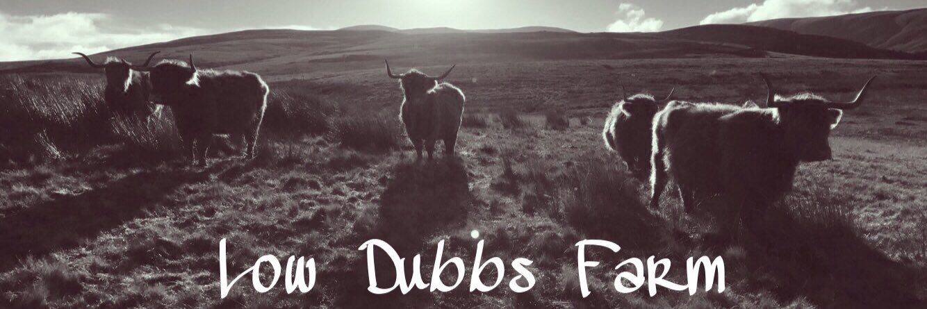 LowDubbsStud's profile banner image