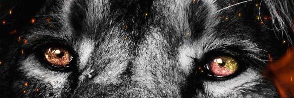 KiragoEmmanuel's profile banner image