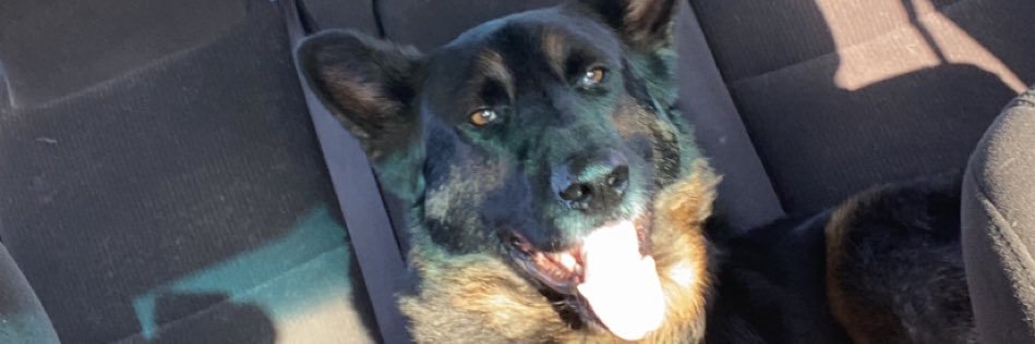 aceboogey01's profile banner image