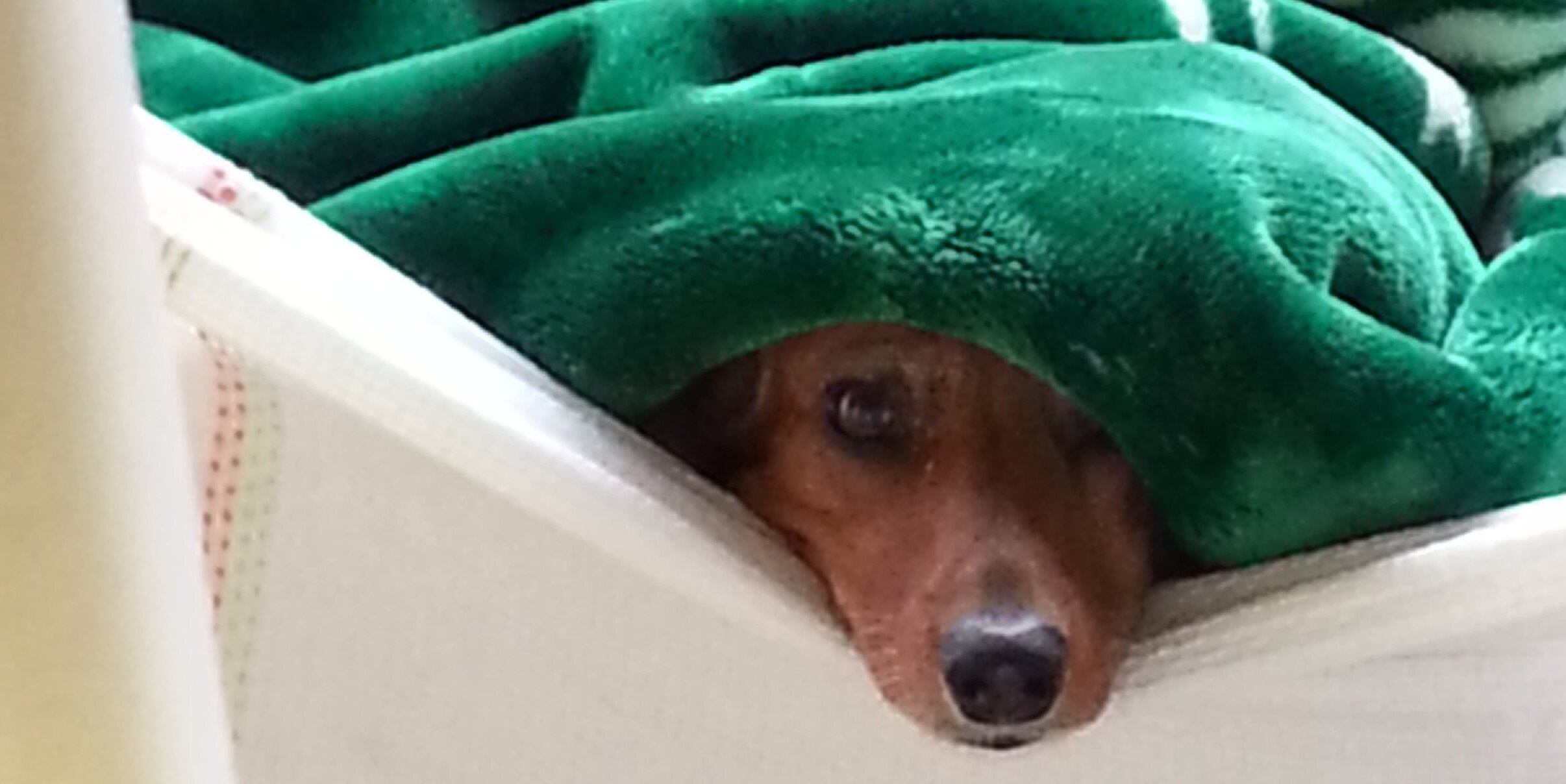 Beeaciclo's profile banner image