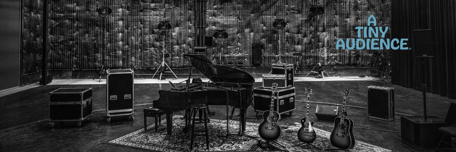 ATinyAudience banner