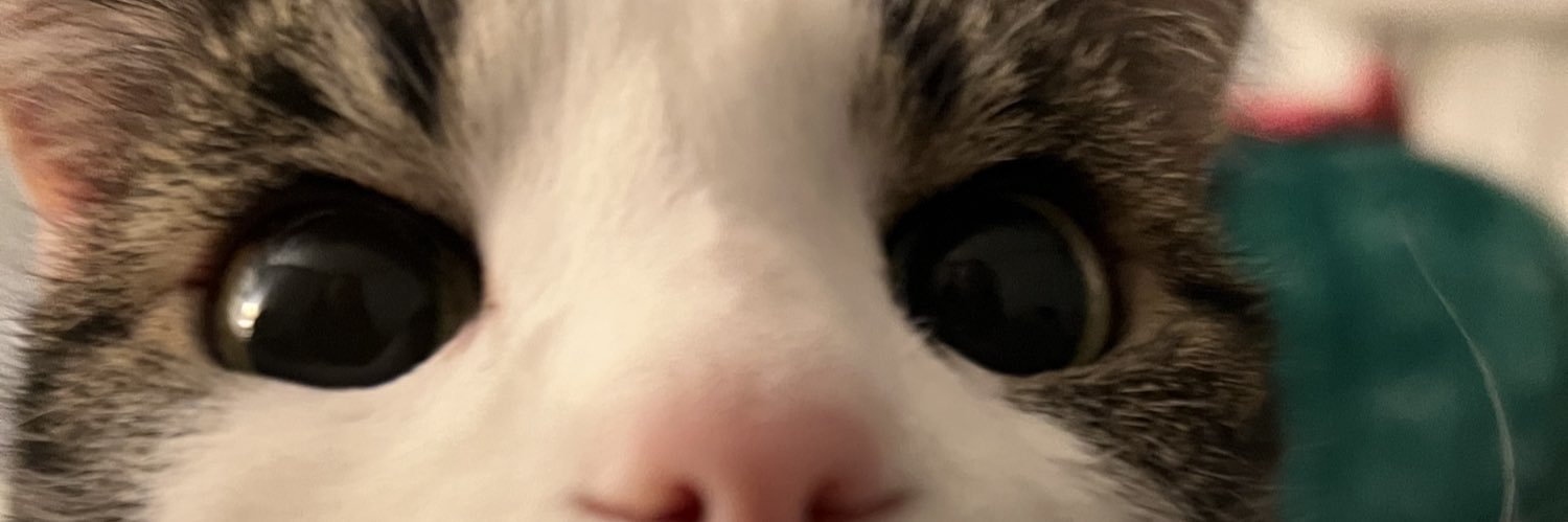 haley banner