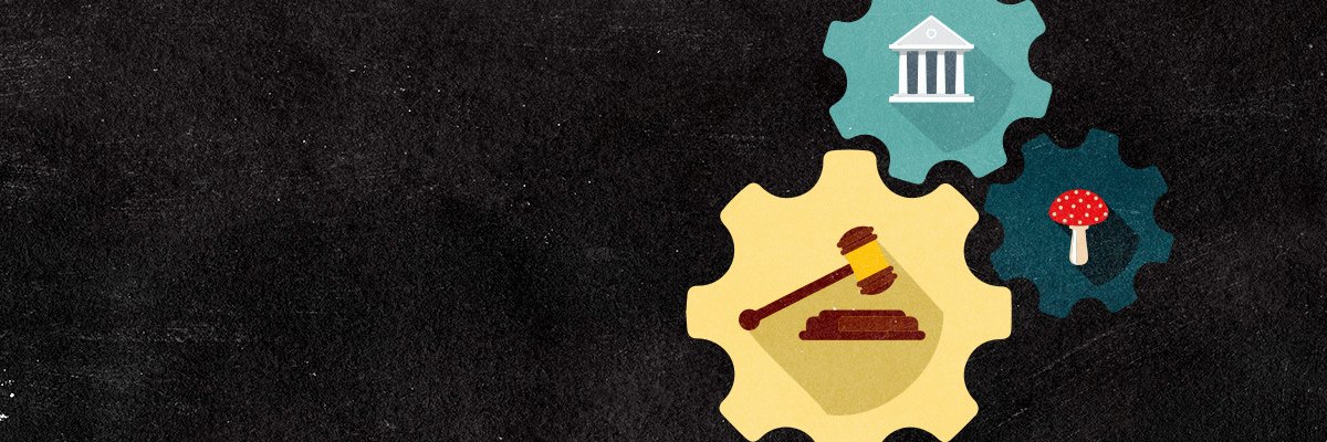 Truffle Report banner