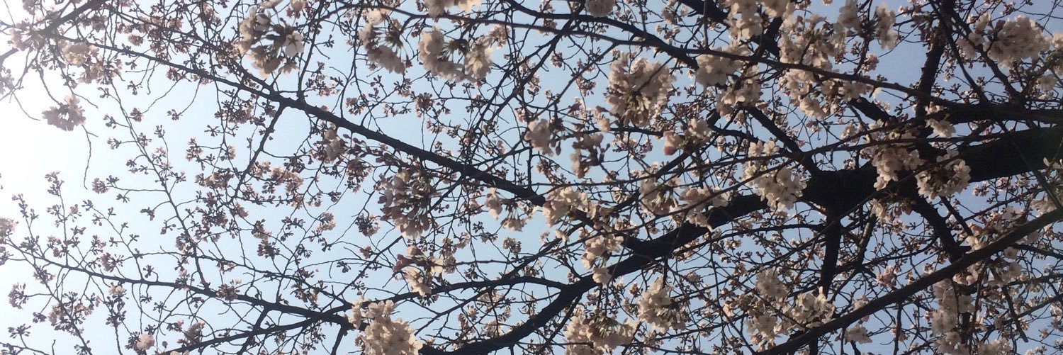 _minim_'s profile banner image