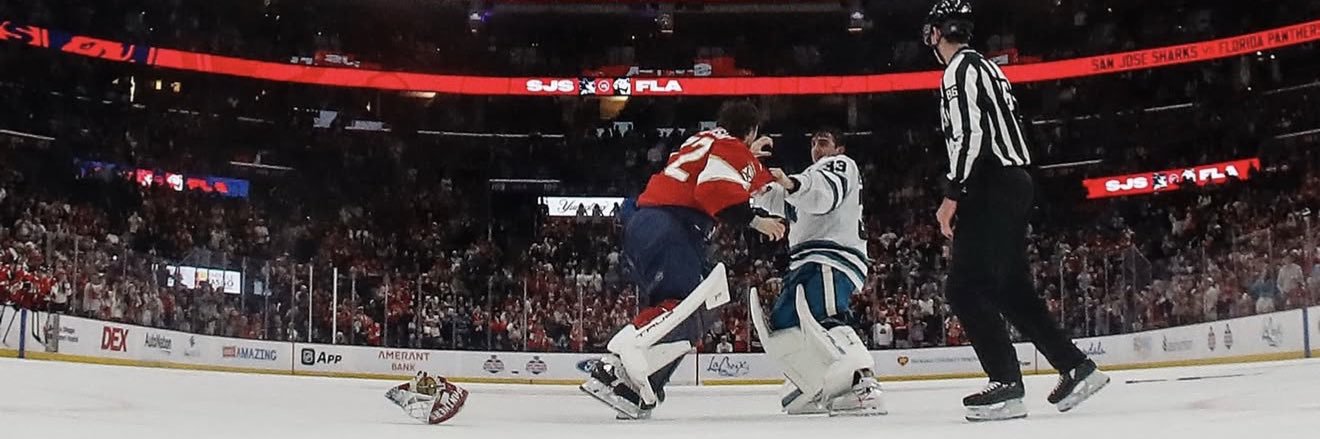 Hertl48's profile banner image