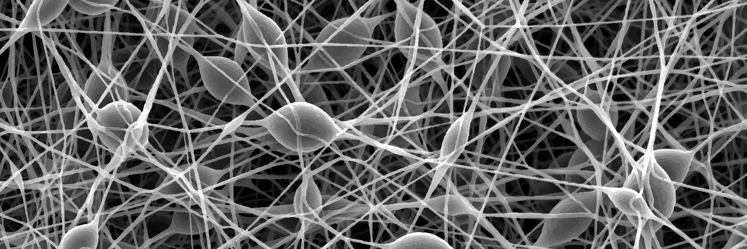 Shivesh Anand banner