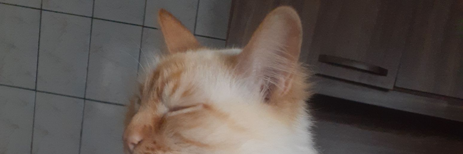 LuisGer4Ld's profile banner image