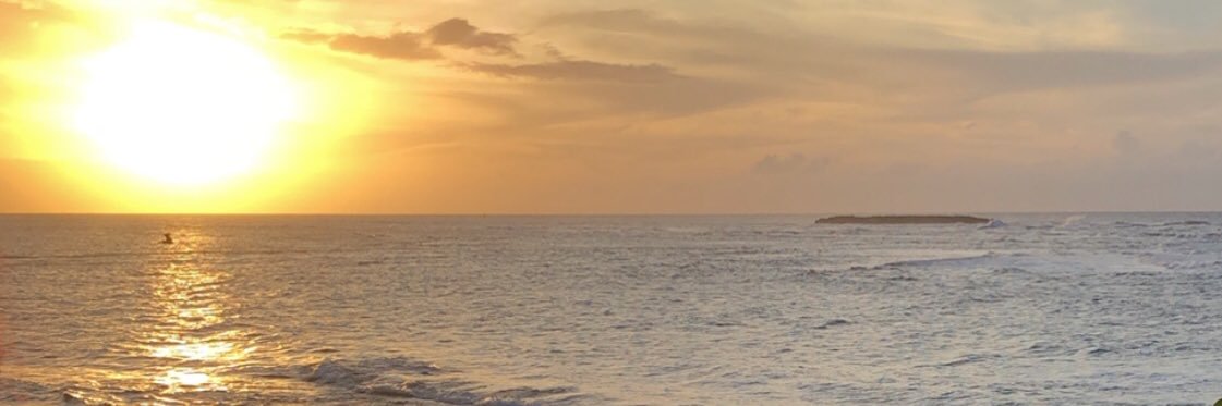 _nelsonndelgado's profile banner image