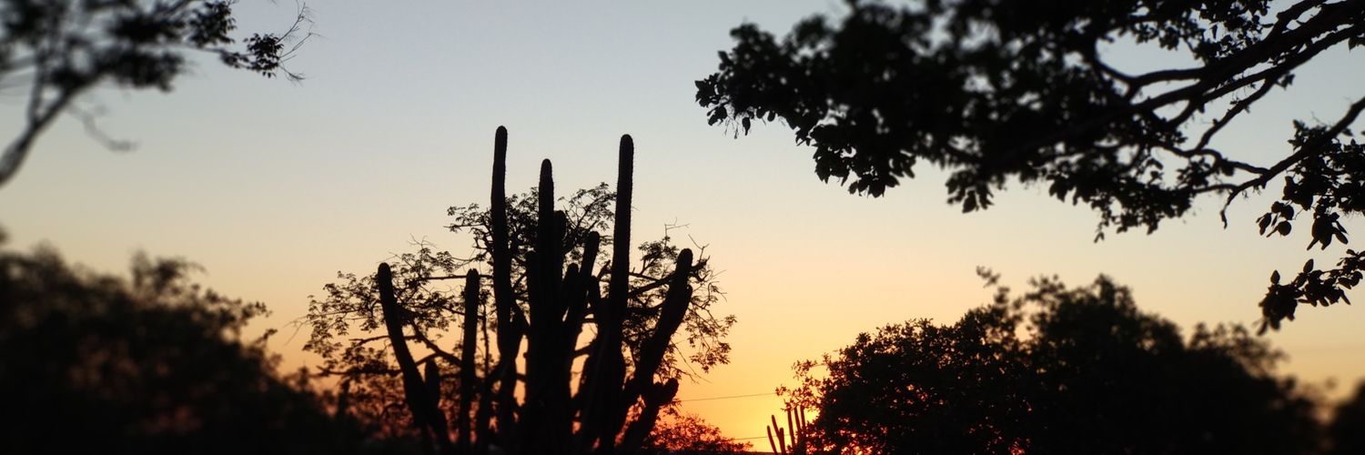 edenilson's profile banner image